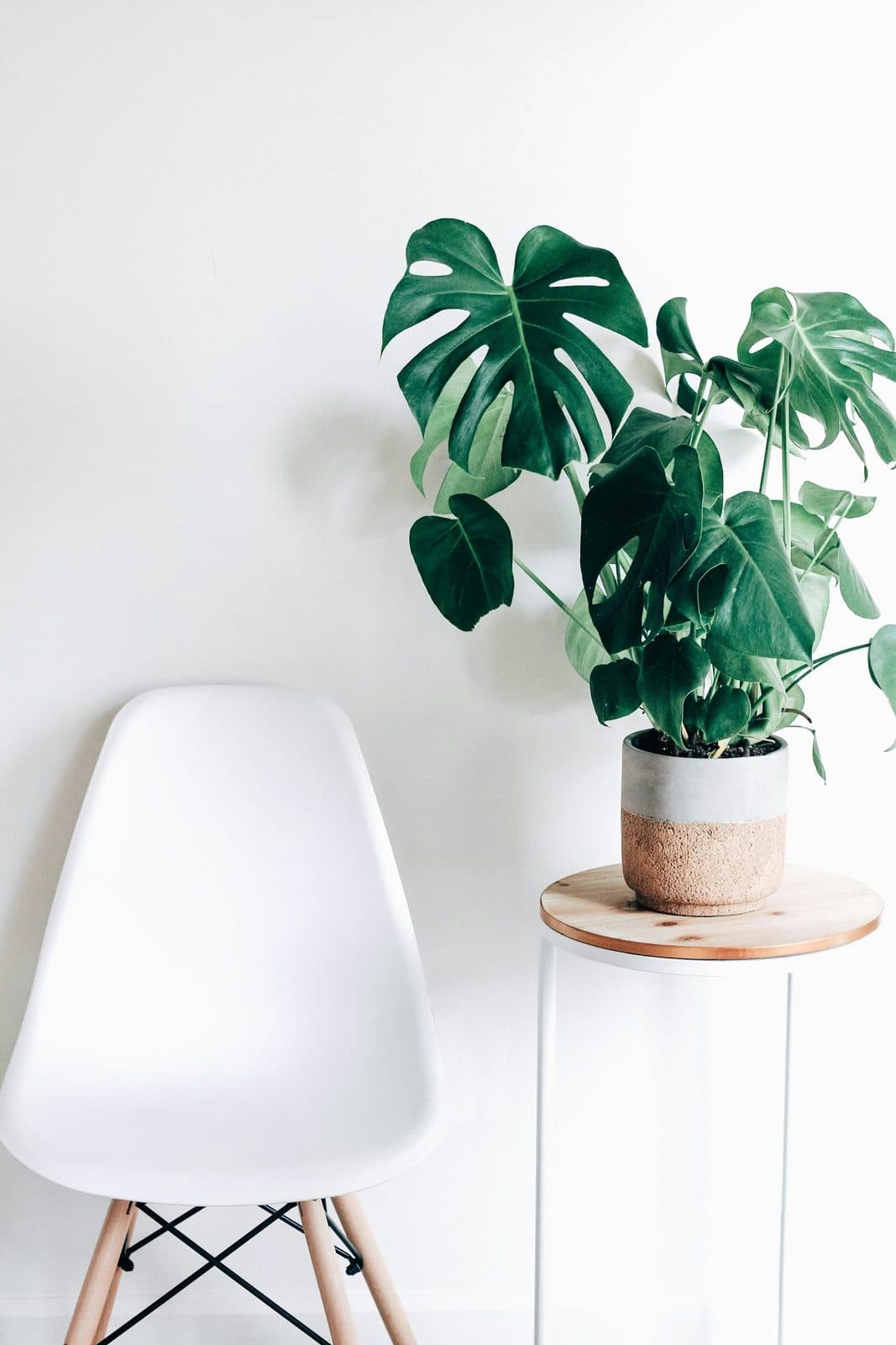 Planters & Stands at Ravi Furnitures